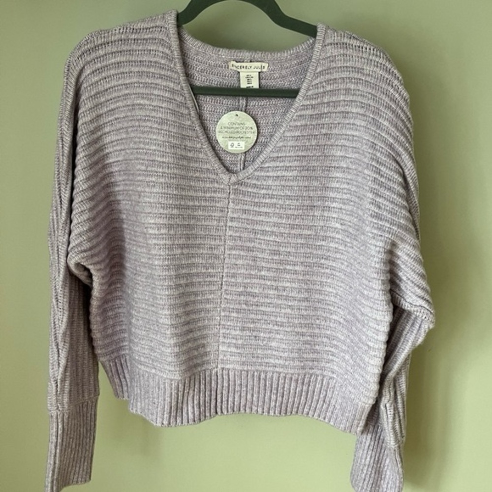 Sincerely Jules Dolman Sleeve Sweater
